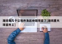 潍坊有几个公司开发区块链项目了[潍坊重大项目开工]